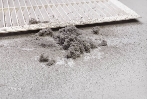 Best Professional Duct Cleaning Services  in Desert Hills, AZ
