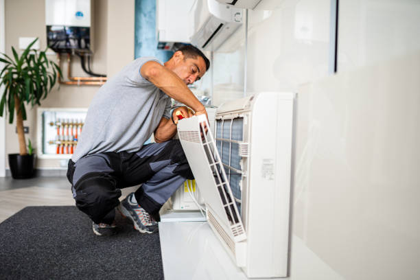 Air Duct Mold Removal in Desert Hills, AZ
